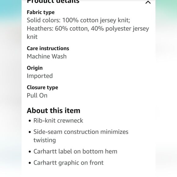 Carhartt Loose Fit Heavyweight Logo Graphic S/S T-Shirt - Picture 3 of 5